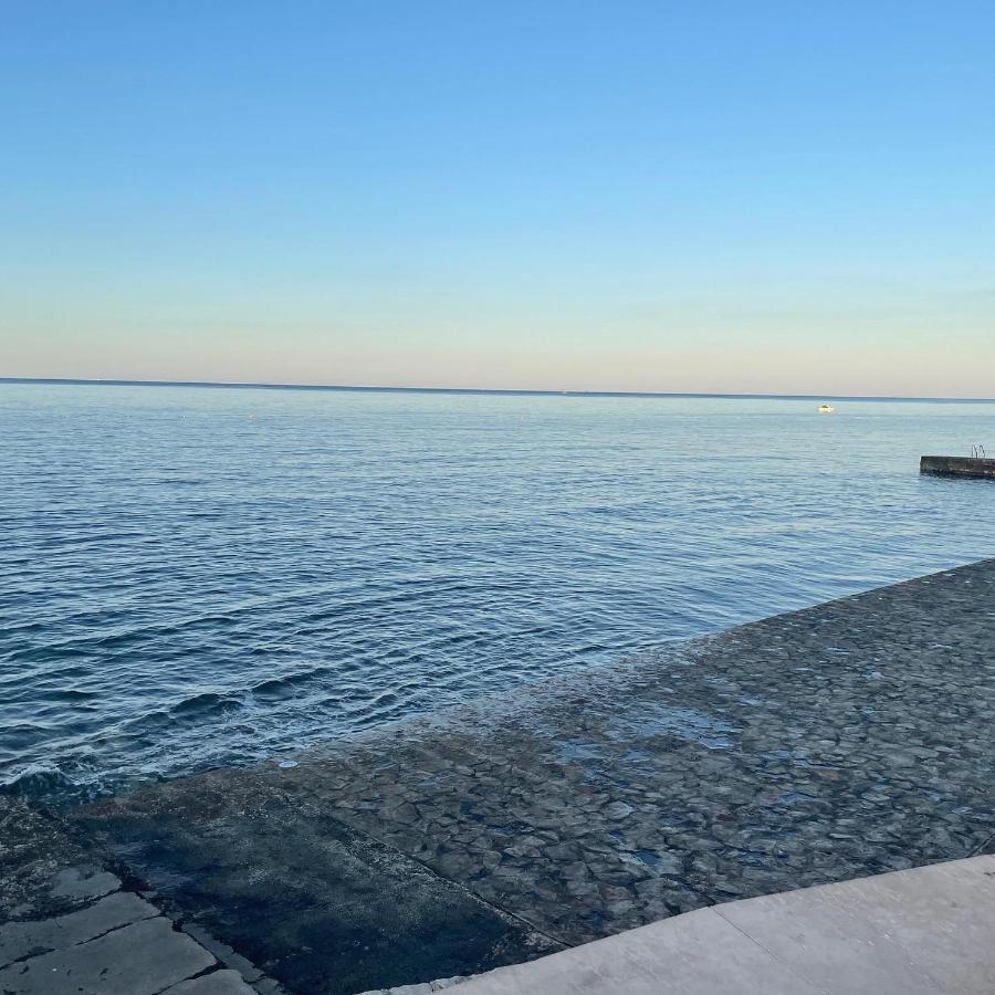 Apartmán App Robi Novigrad Istria Exteriér fotografie